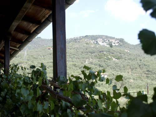Hotel Figalia Kala Nera Room photo